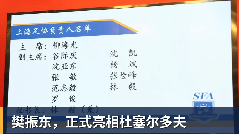 乐虎体育樊振东，正式亮相杜塞尔多夫