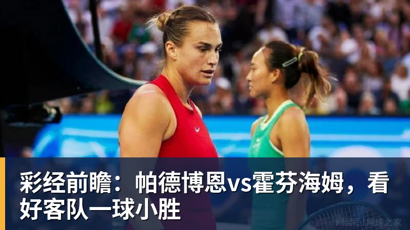 乐虎体育彩经前瞻：帕德博恩vs霍芬海姆，看好客队一球小胜