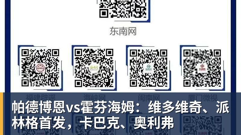 乐虎体育帕德博恩vs霍芬海姆：维多维奇、派林格首发，卡巴克、奥利弗